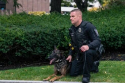 5.11 Tactical Men's Rapid Ops Shirt 72199 6 5.11 Tactical Men's Rapid Ops Shirt 72199 -Tactical Apparel Store 5.11 tactical mens rapid ops shirt 72199 72199 44457.1606944214