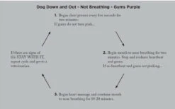 Adventure Medical Kits Canine Field Medicine Book 4000-1520 4 Adventure Medical Kits Canine Field Medicine Book 4000-1520 -Tactical Apparel Store adventure medical kits canine field medicine book 4000 1520 4000 1520 59942.1635811172