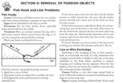 Adventure Medical Kits Canine Field Medicine Book 4000-1520 6 Adventure Medical Kits Canine Field Medicine Book 4000-1520 -Tactical Apparel Store adventure medical kits canine field medicine book 4000 1520 4000 1520 72182.1635811176