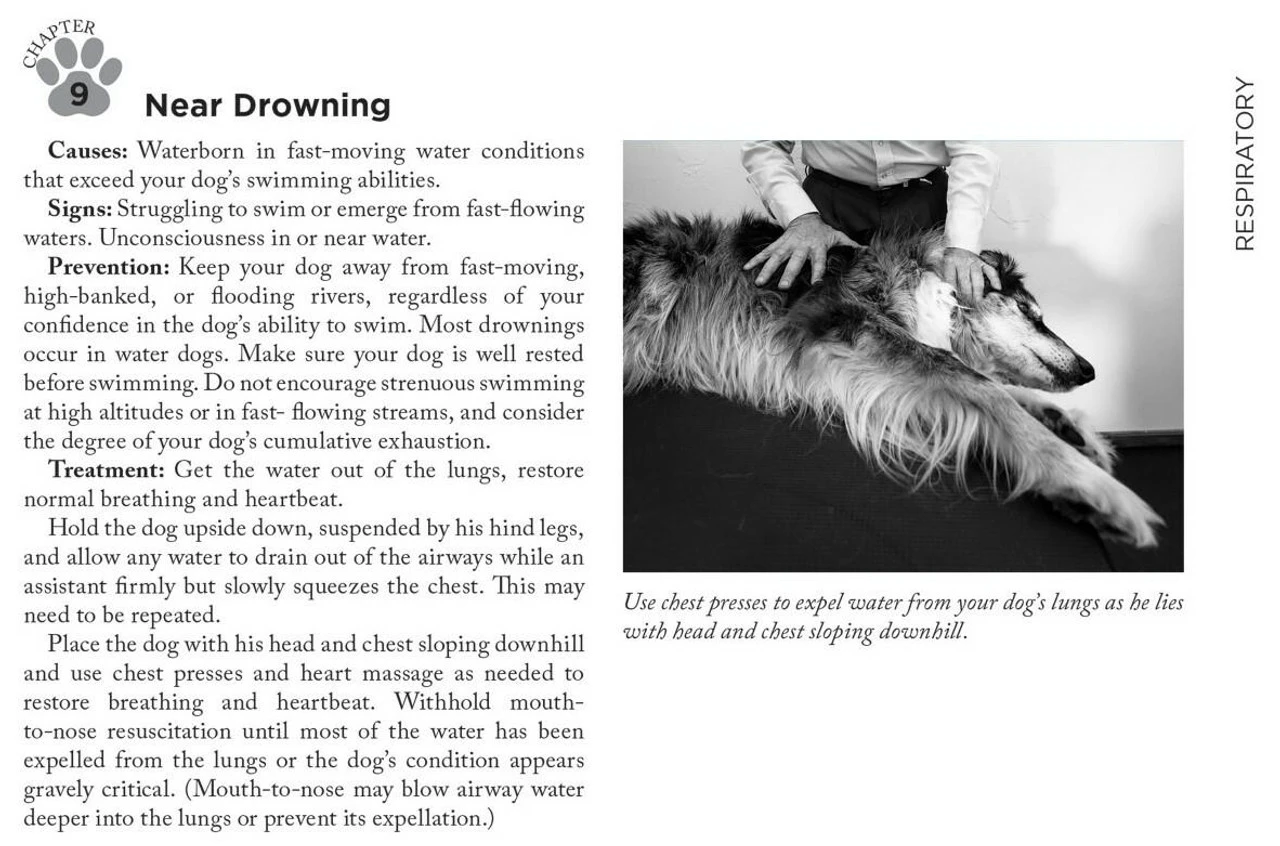 Adventure Medical Kits Canine Field Medicine Book 4000-1520 Adventure Medical Kits Canine Field Medicine Book 4000-1520 -Tactical Apparel Store adventure medical kits canine field medicine book 4000 1520 4000 1520 89508.1635811135