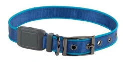 Nite Ize NiteDog Rechargeable LED Collar -Tactical Apparel Store nite ize nitedog rechargeable led collar ndcr 46592.1616660134