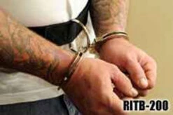 RIPP Restraints 2" D Ring Transport Belt -Tactical Apparel Store ripp restraints 2 d ring transport belt ritb 200 69200.1599175406